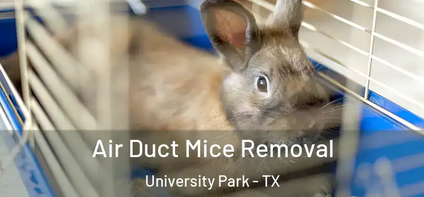  Air Duct Mice Removal University Park - TX