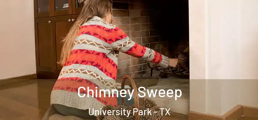  Chimney Sweep University Park - TX