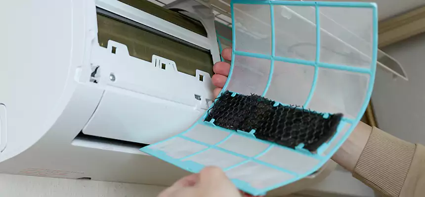 Gentle Ductwork Odor-Control Pet Dander Duct Cleaning in University Park, TX