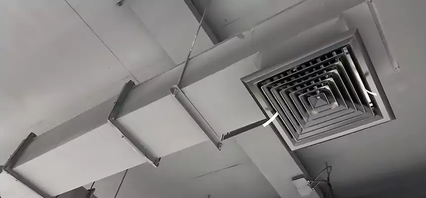 Our Rodent Droppings In Vents Services in University Park, TX