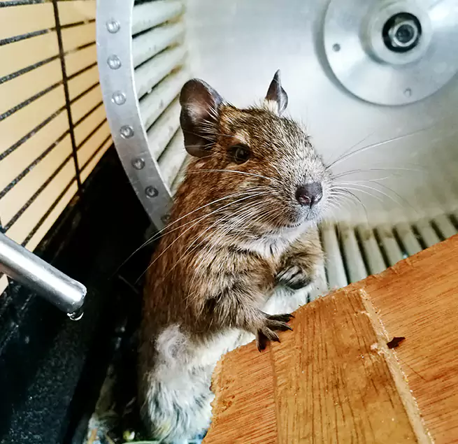 Why Homeowners & Businesses Trust Us University Park, TX?