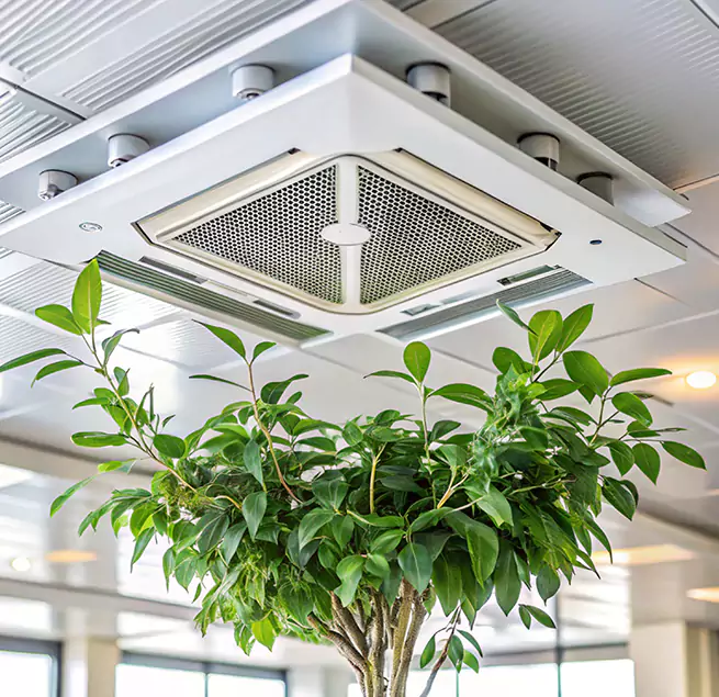 Why Homeowners & Businesses Trust Us in University Park, TX?