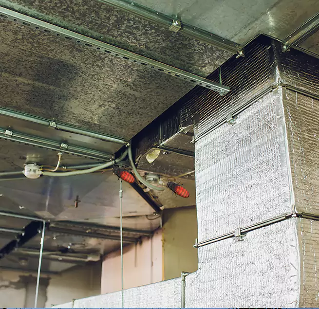 Why Homeowners & Businesses Trust Us University Park, TX?