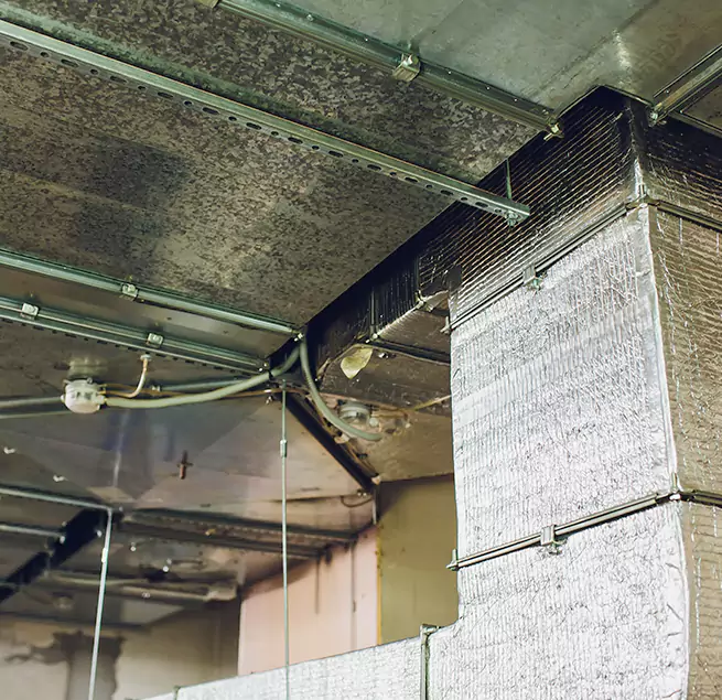 Why Homeowners & Businesses Trust Us in University Park, TX?